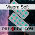 Viagra Soft 29